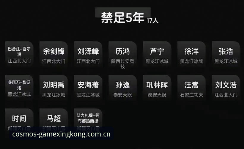 星空体育安卓下载必备 足坛扫黑风暴实用指南——第三批禁足名单深度解读与观赛必备知识
